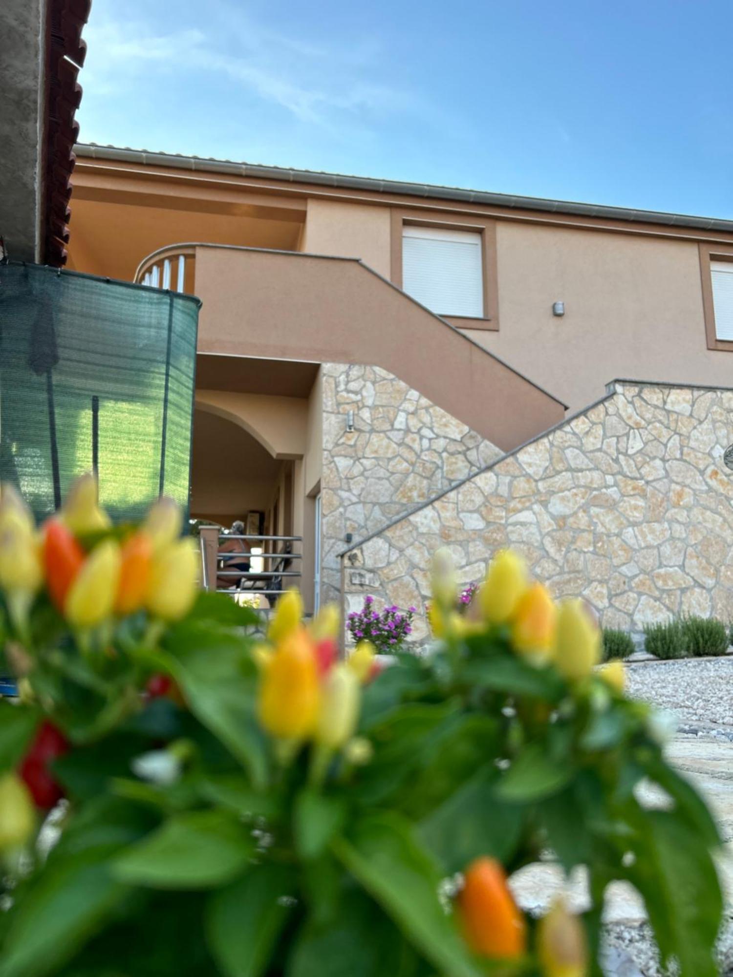 Danisacroatia Lägenhet Maslenica Exteriör bild